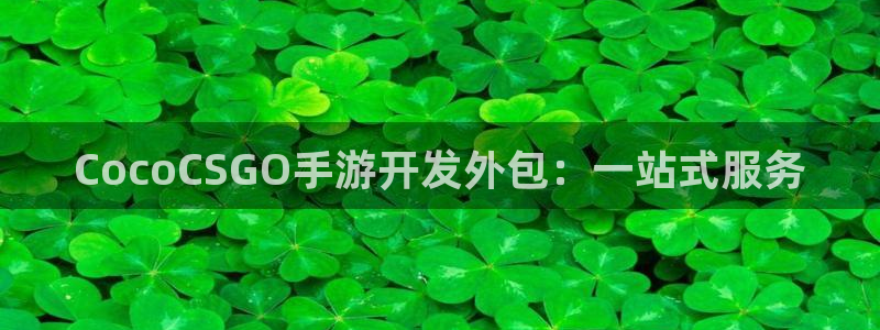 大神28PC官网：CocoCSGO手游开发外包：一站式服务