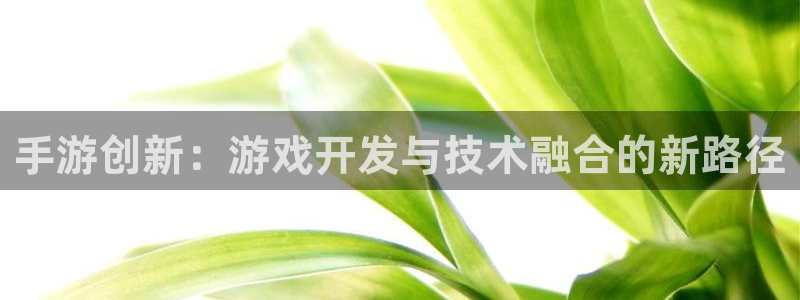 28大神加拿大：手游创新：游戏开发与技术融合的新路径