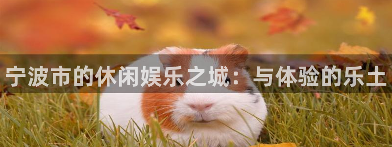 大神在线开奖28：宁波市的休闲娱乐之城：与体验的乐土