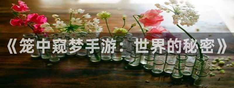 28大神专业版官网：《笼中窥梦手游：世界的秘密》