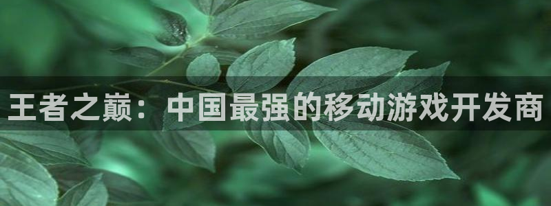 大神pc28预测网：王者之巅：中国最强的移动游戏开发商
