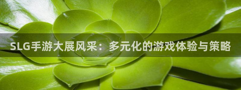pc28大神苹果下载：SLG手游大展风采：多元化的游戏体验与