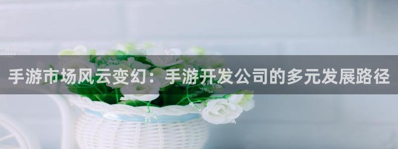 28大神苹果下载：手游市场风云变幻：手游开发公司的多元发展路