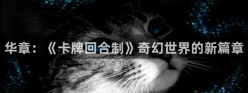 大神28历史：华章：《卡牌回合制》奇幻世界的新篇章