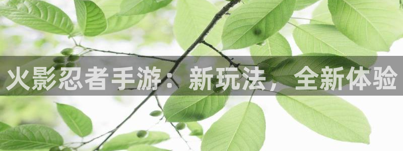 大神28官网下载：火影忍者手游：新玩法，全新体验