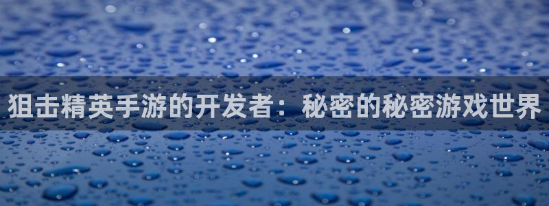 pc28大神软件客户端下载：狙击精英手游的开发者：秘密的秘密