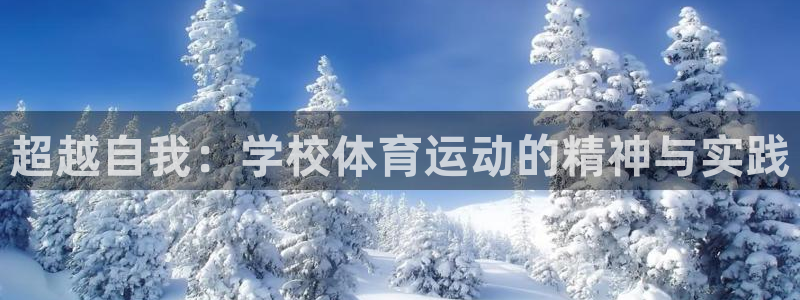 vsport体育在线官网：超越自我：学校体育运动的精神与实践